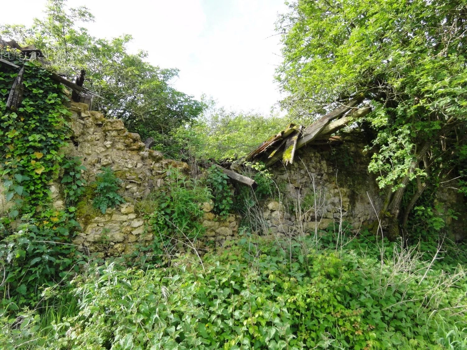 Maison à vendre, 400m², Mareuil