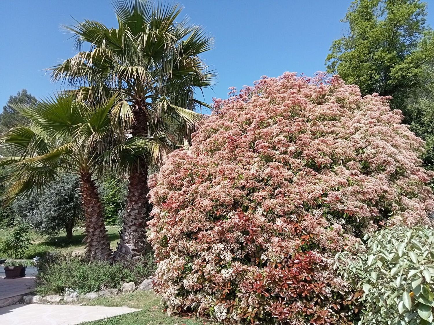 Maison à vendre, 145m², Le Luc