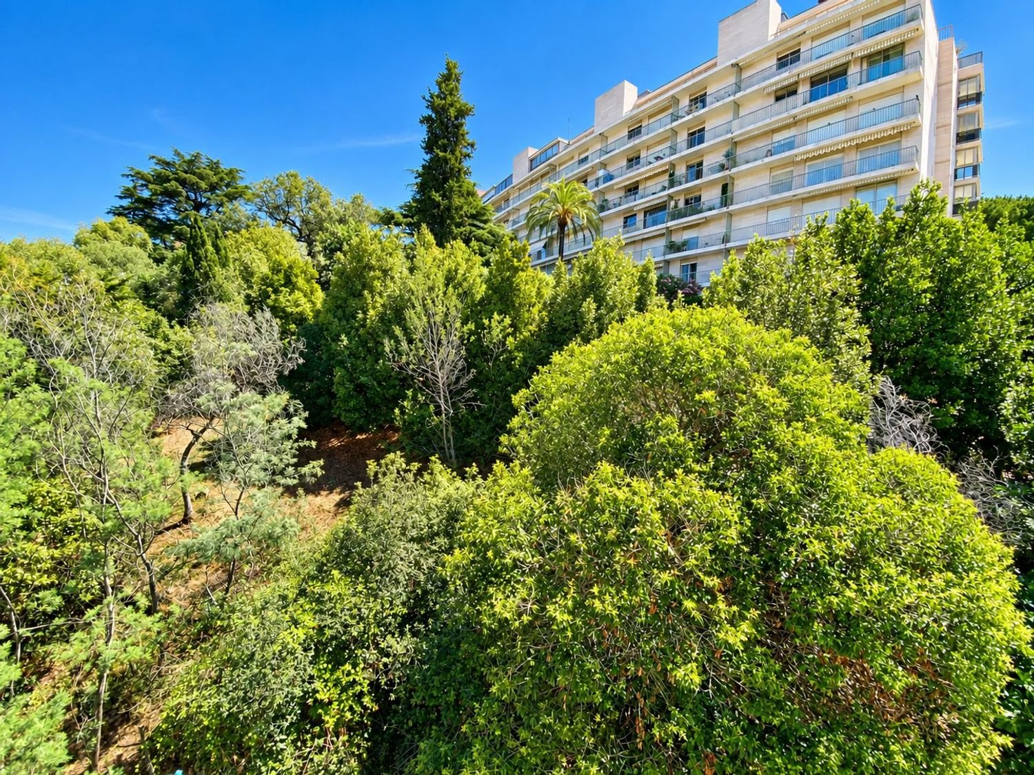 Appartement à louer, 22m², Cannes
