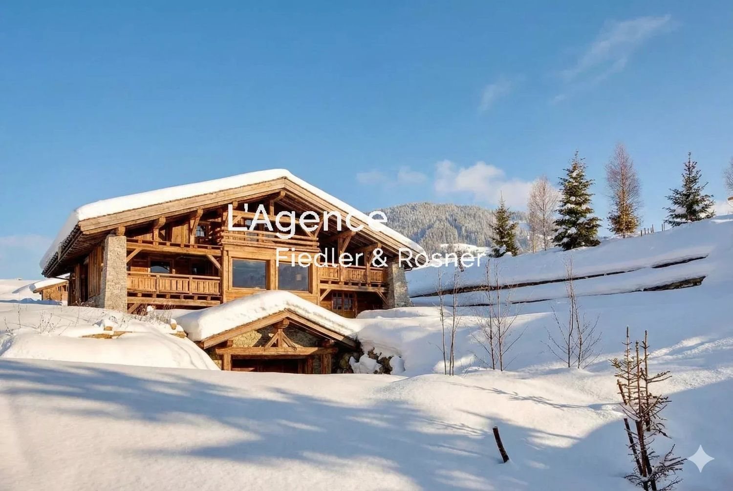 Maison à louer, 530m², Megève