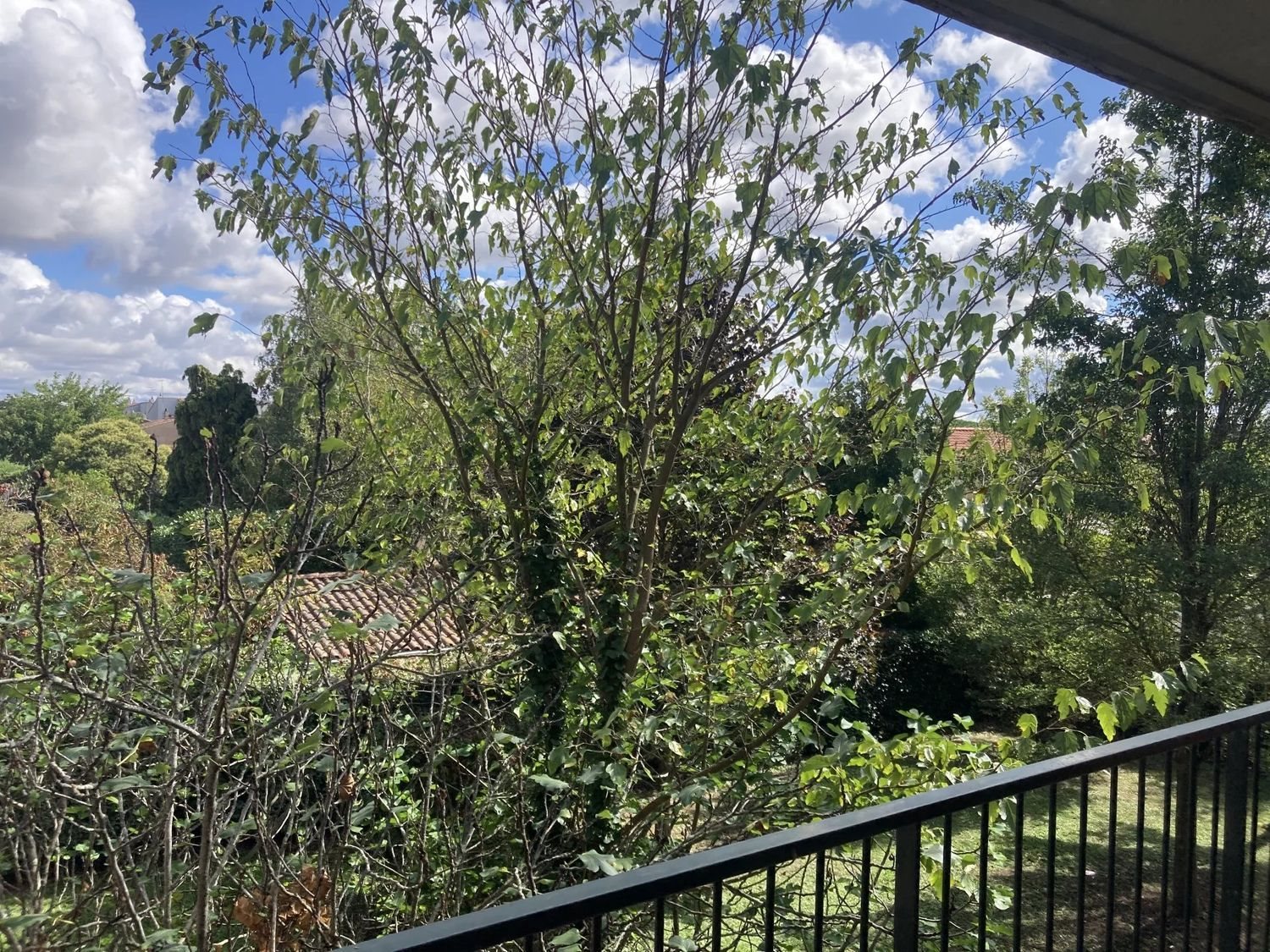 Appartement à vendre, 41m², Fonbeauzard