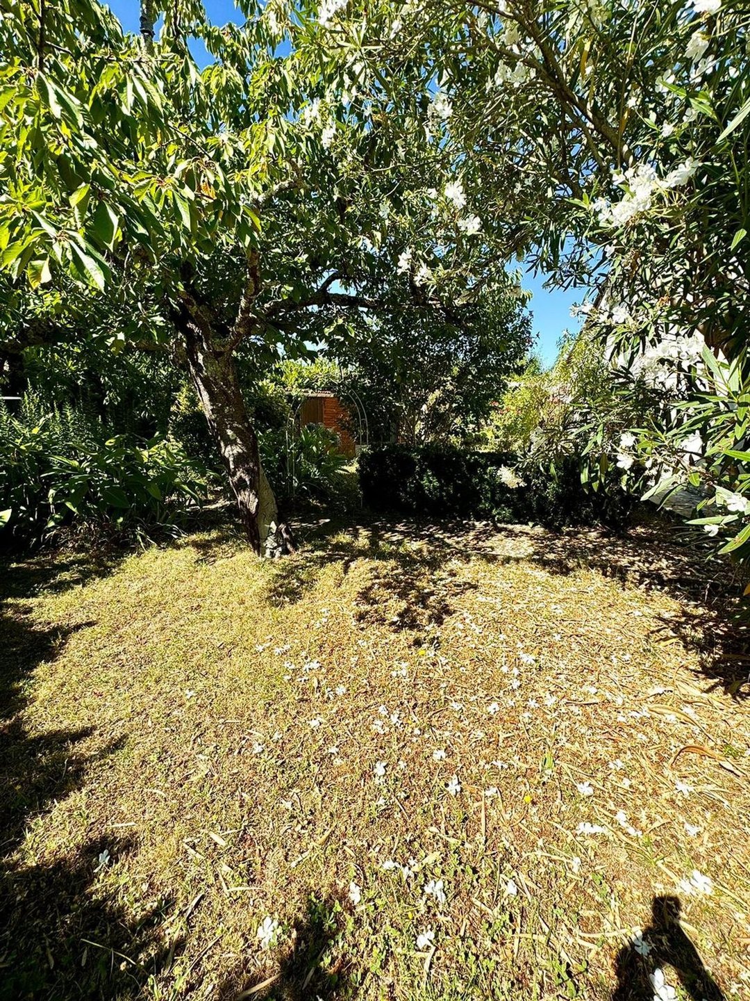 Maison à vendre, 100m², Floirac