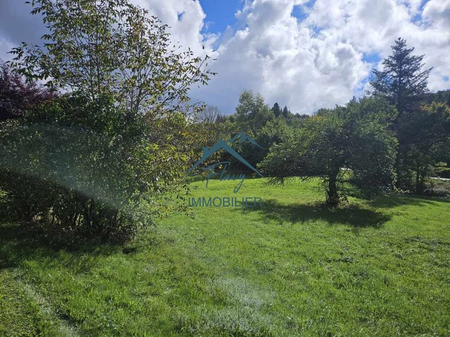 Maison à vendre, 300m², Vagney