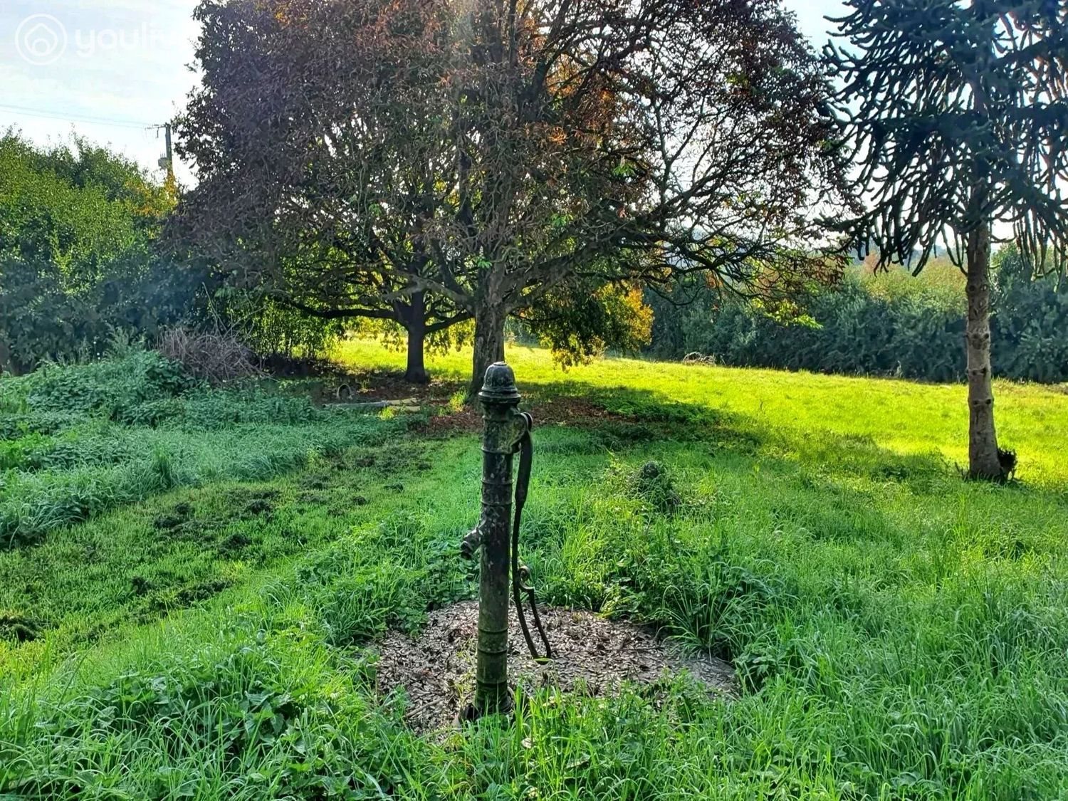 Maison à vendre, 161m², Tiercé