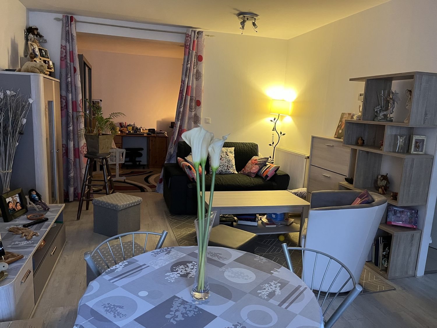 Appartement à vendre, 46m², Saint-Jean-de-Braye