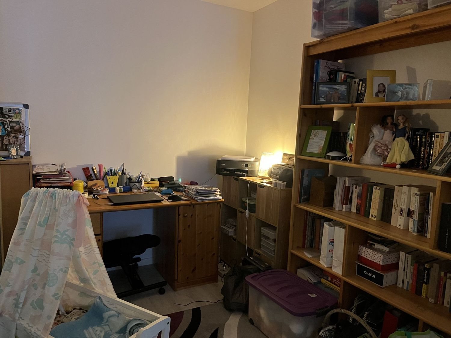 Appartement à vendre, 46m², Saint-Jean-de-Braye