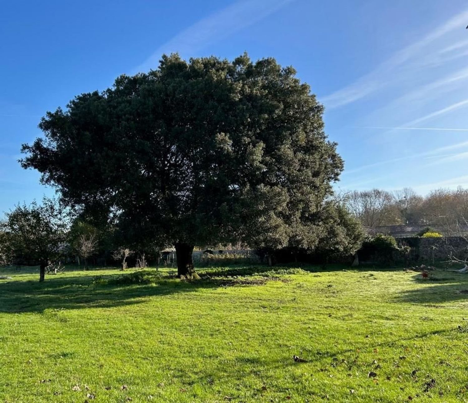 Maison à vendre, 290m², Pont-l'Abbé-d'Arnoult