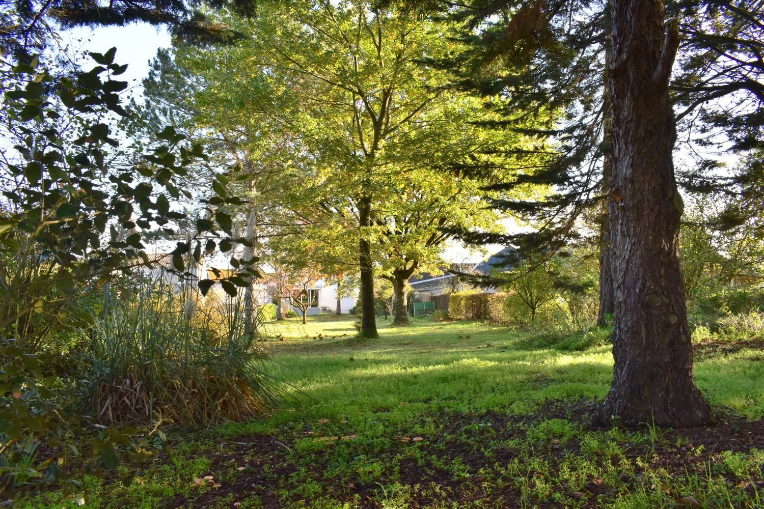 Maison à vendre, 139m², Montbert