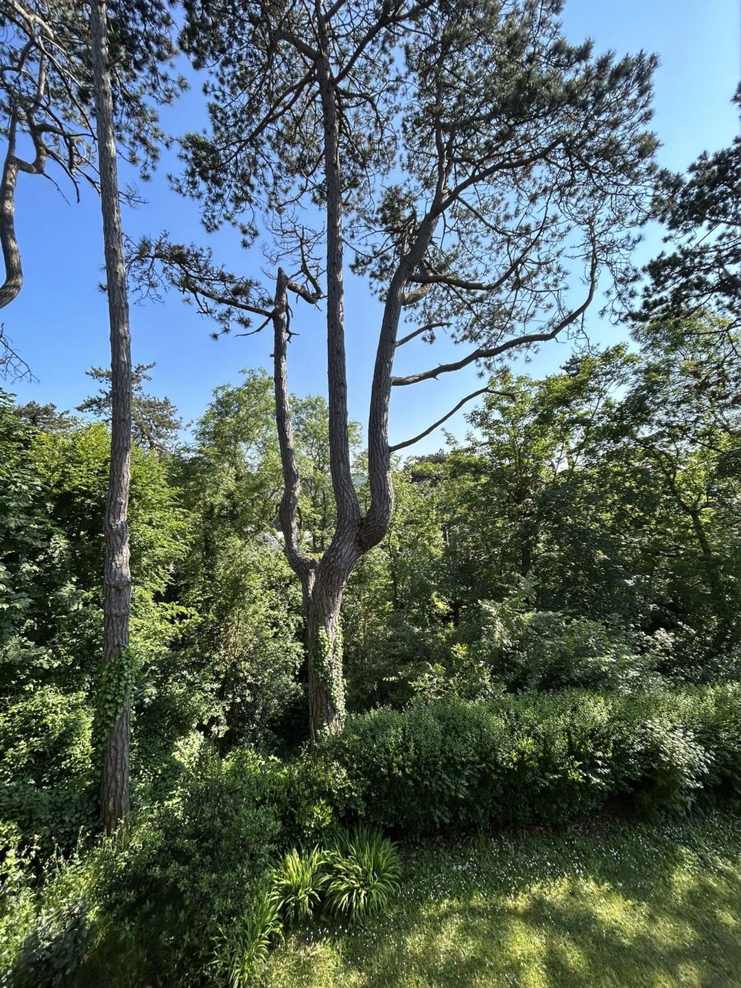 Maison à vendre, 270m², Étretat