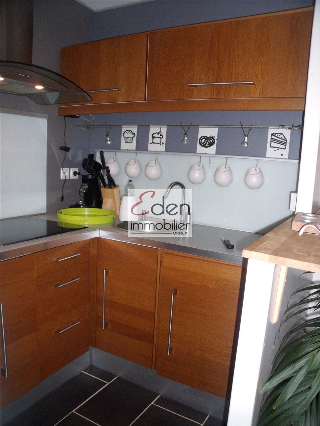 Appartement à vendre, 46m², Gex