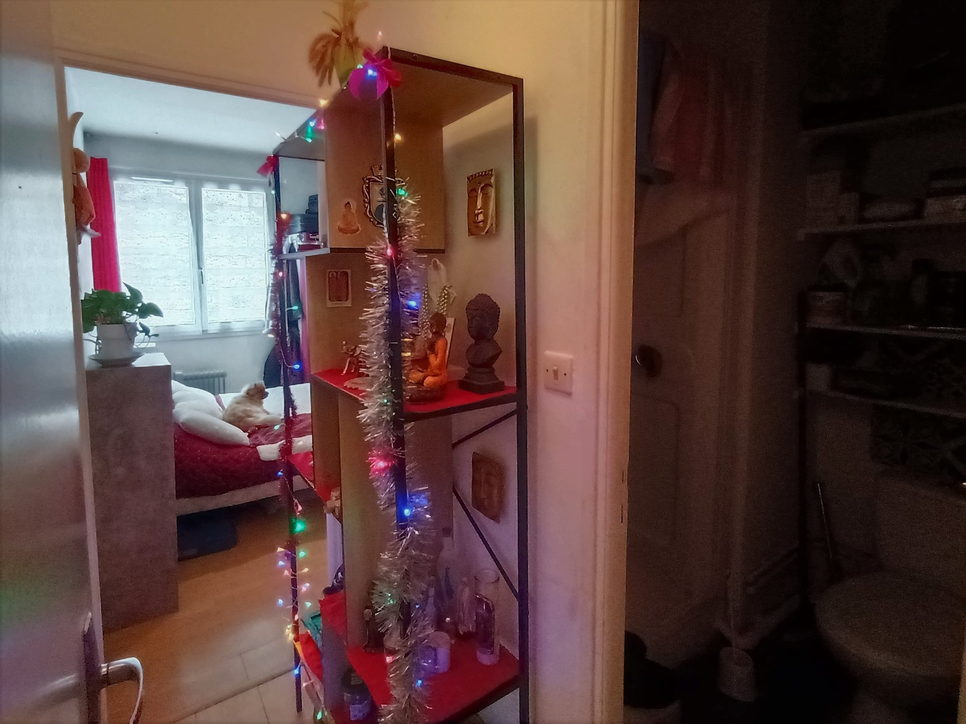 Appartement à vendre, 16m², Rennes-les-Bains
