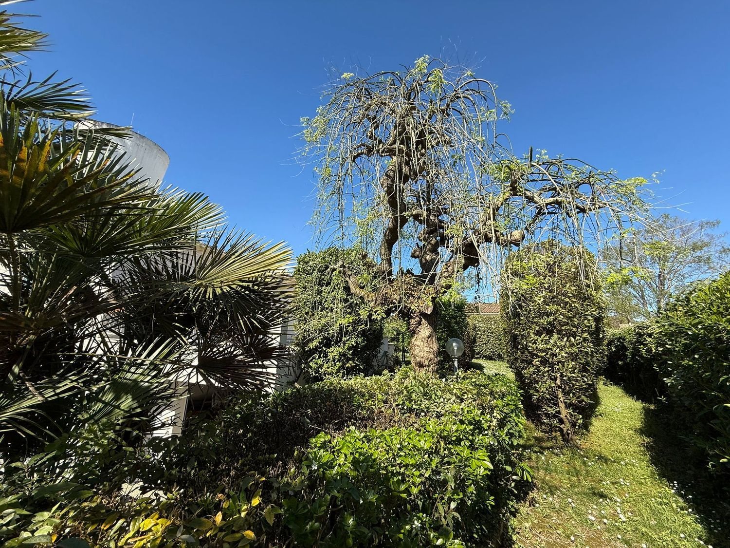 Maison à vendre, 205m², Royan