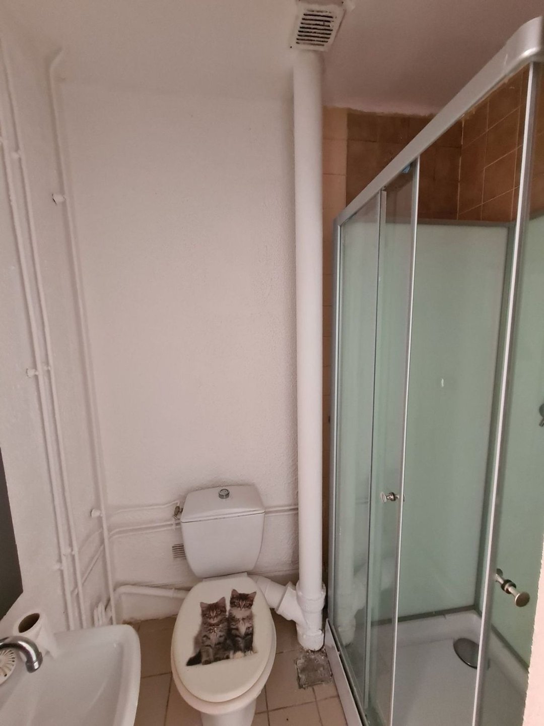 Appartement à louer, 38m², Belfort