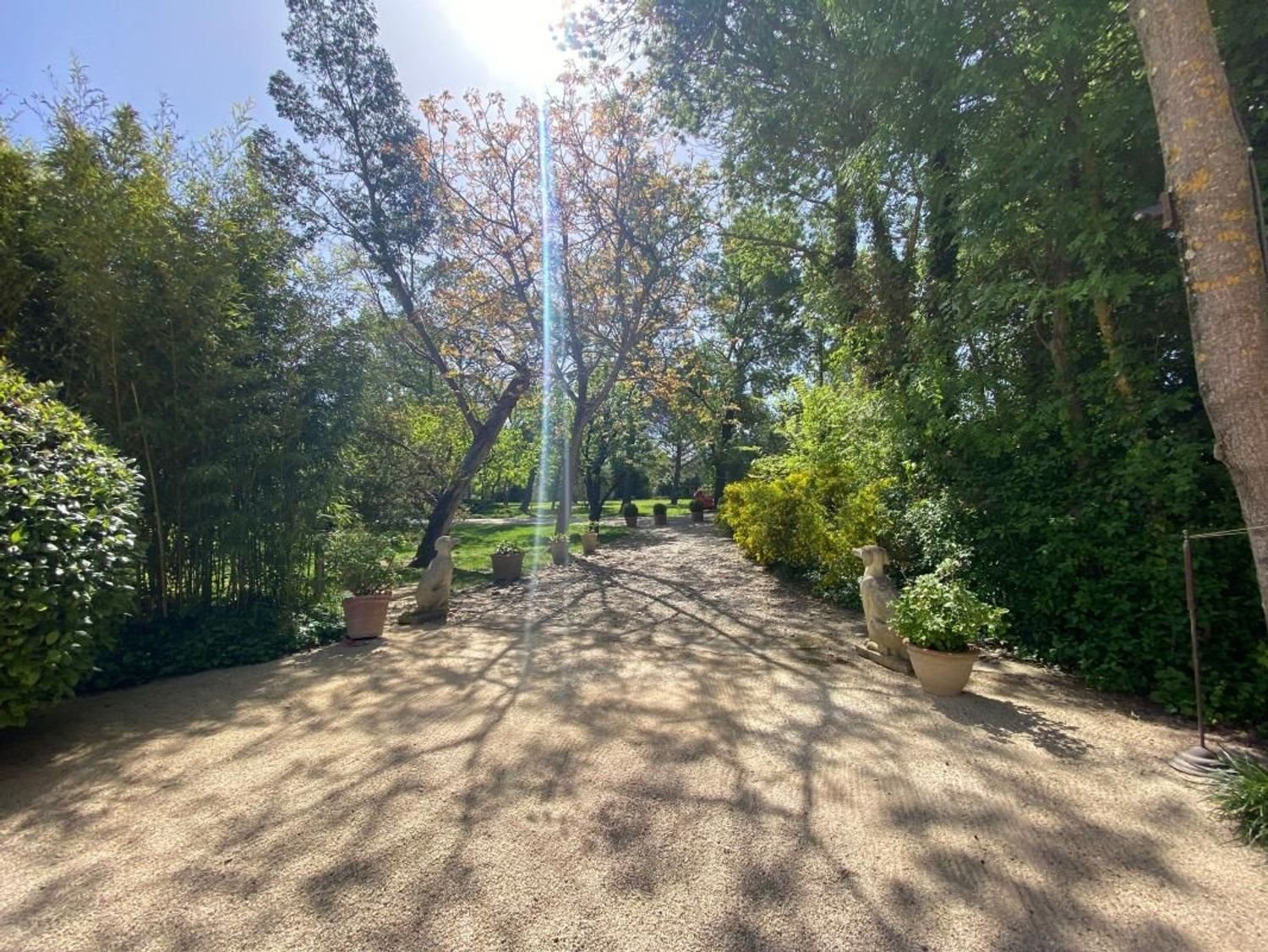Maison à vendre, 528m², Entraigues-sur-la-Sorgue