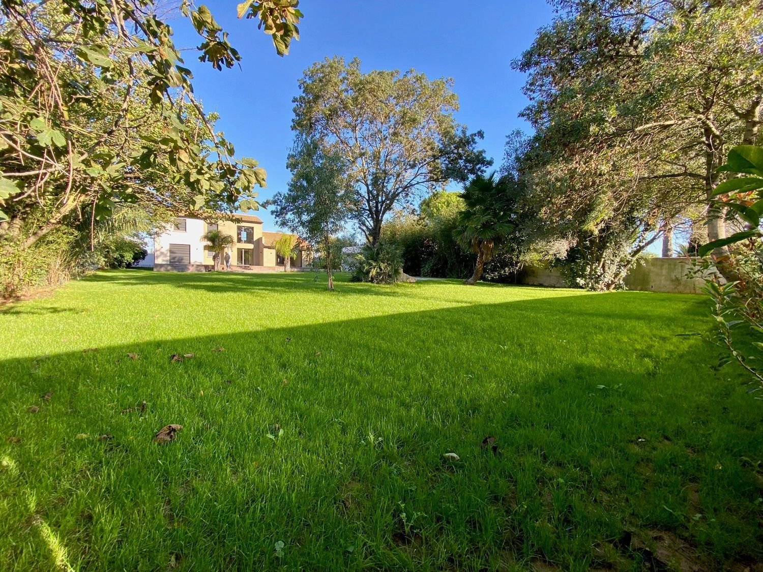 Maison à vendre, 227m², Candillargues