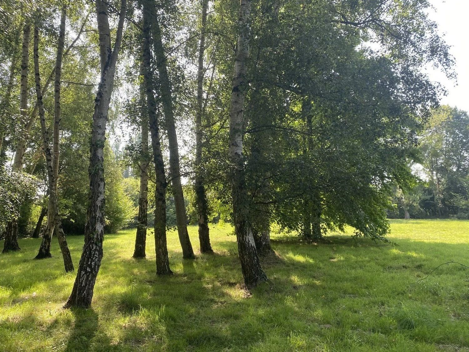 Maison à vendre, 145m², Plouër-sur-Rance