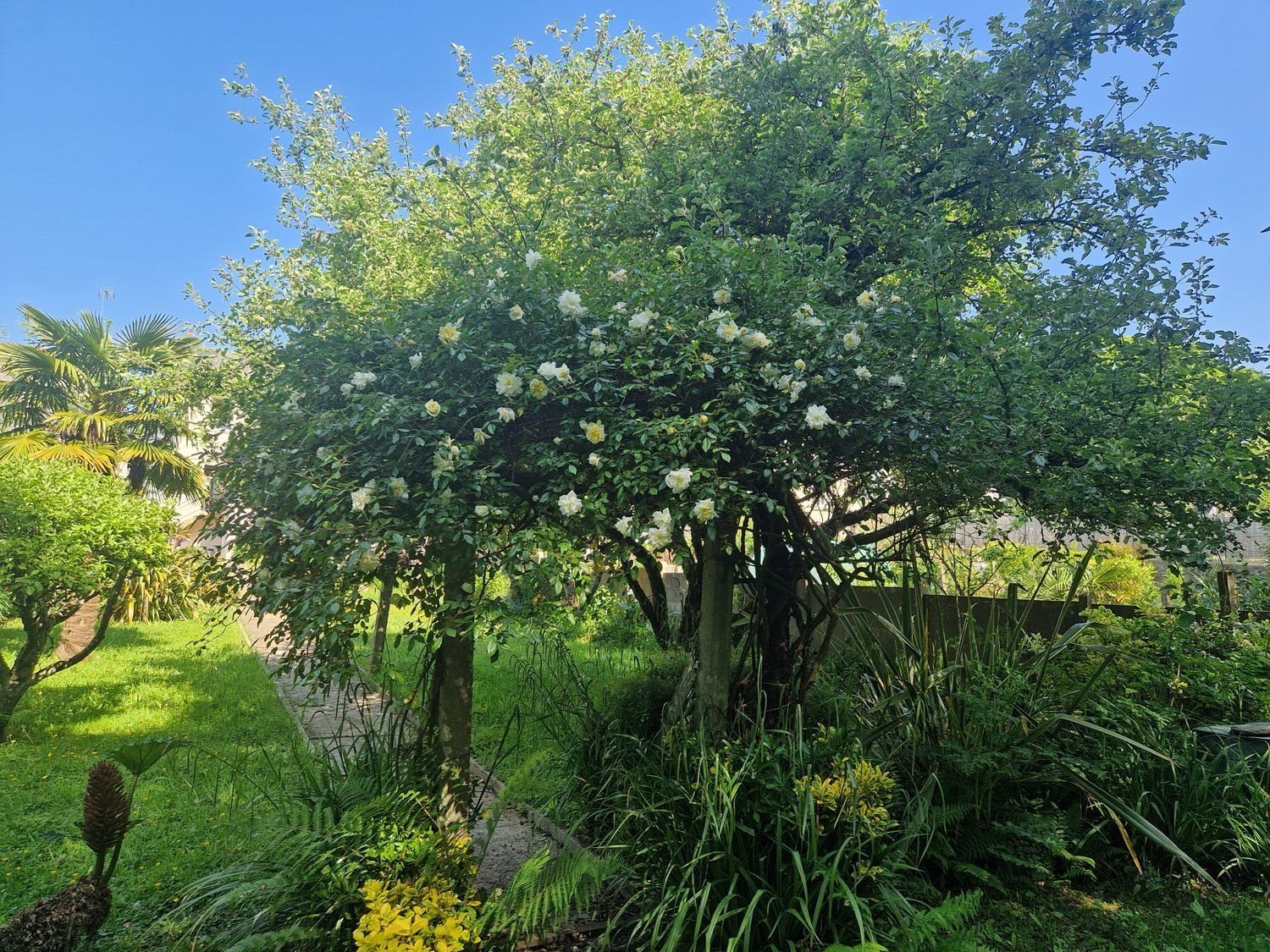 Maison à vendre, 106m², Pontivy