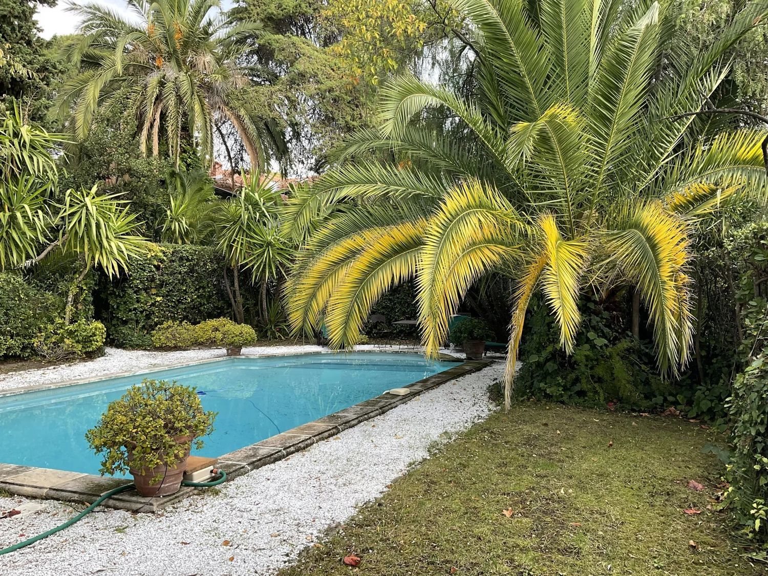 Maison à vendre, 450m², Nice