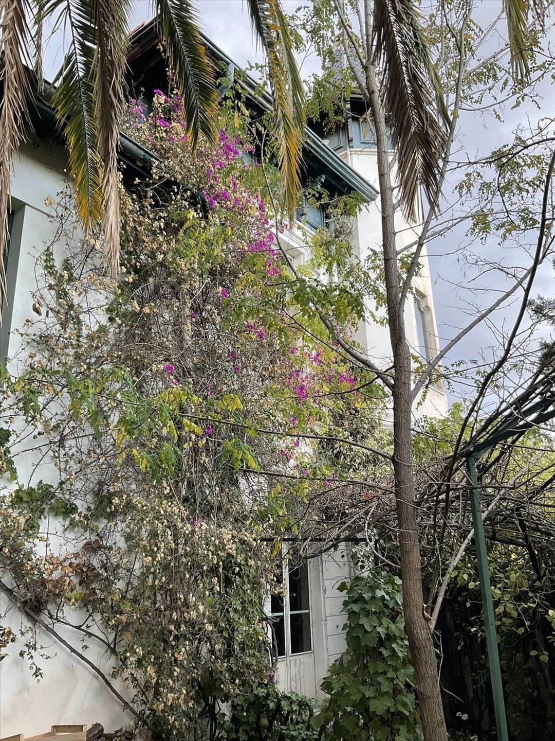 Maison à vendre, 450m², Nice
