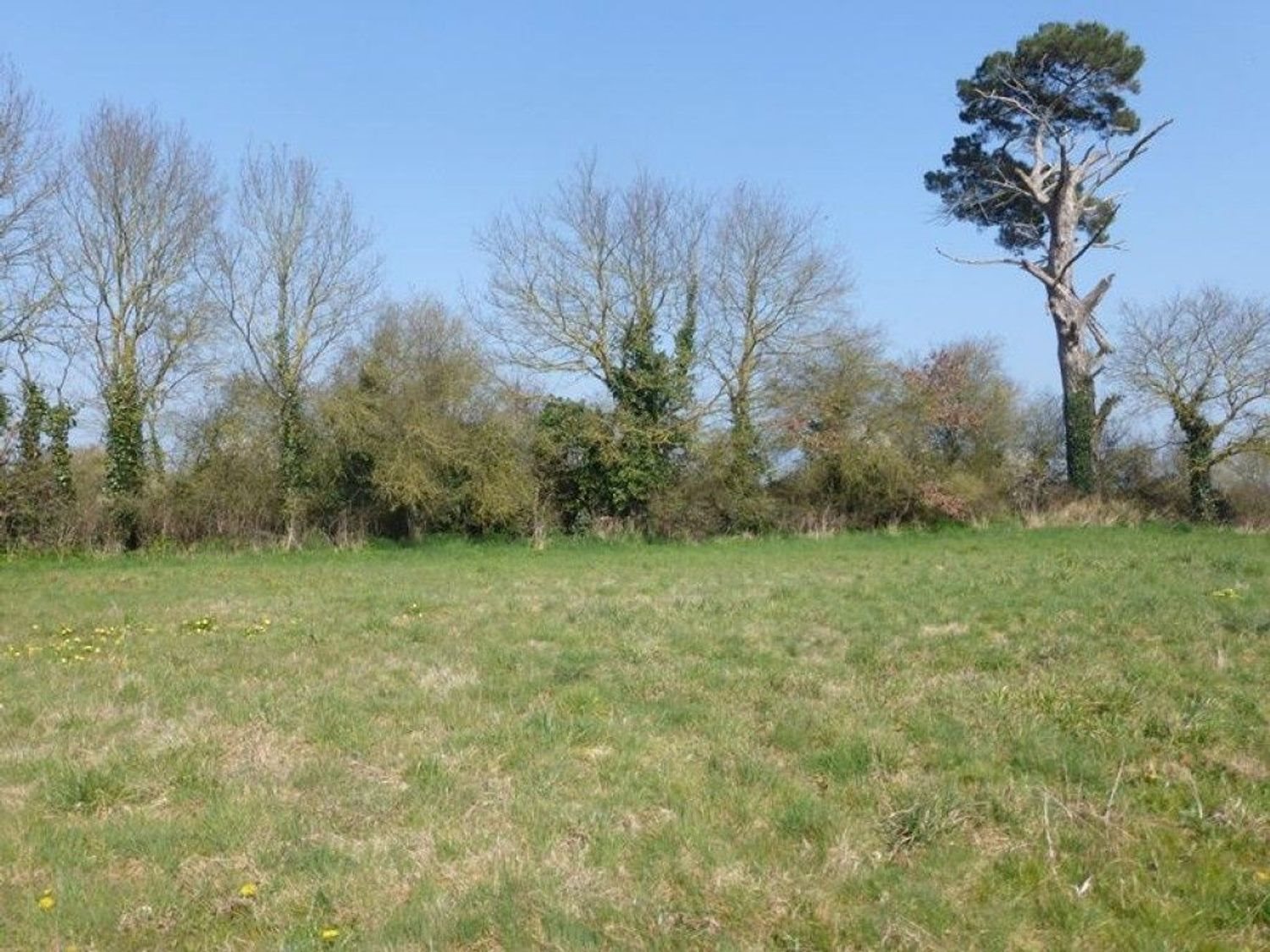 Maison à vendre, 128m², Vieillevigne