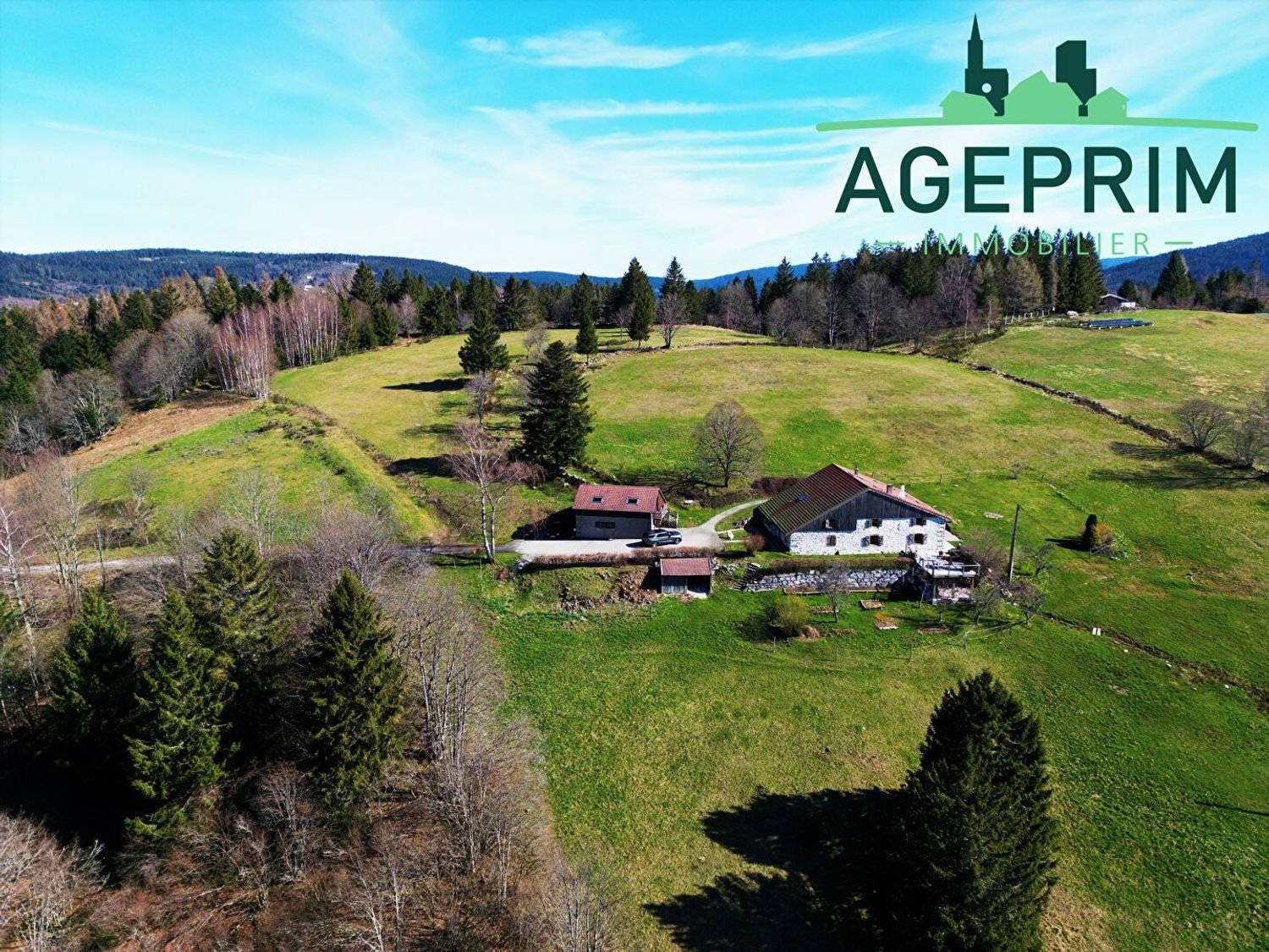 Maison à vendre, 372m², Gérardmer
