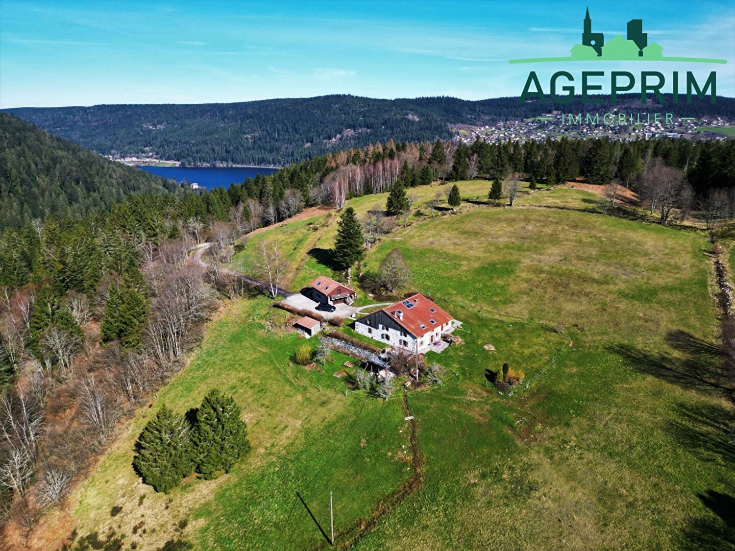 Maison à vendre, 372m², Gérardmer