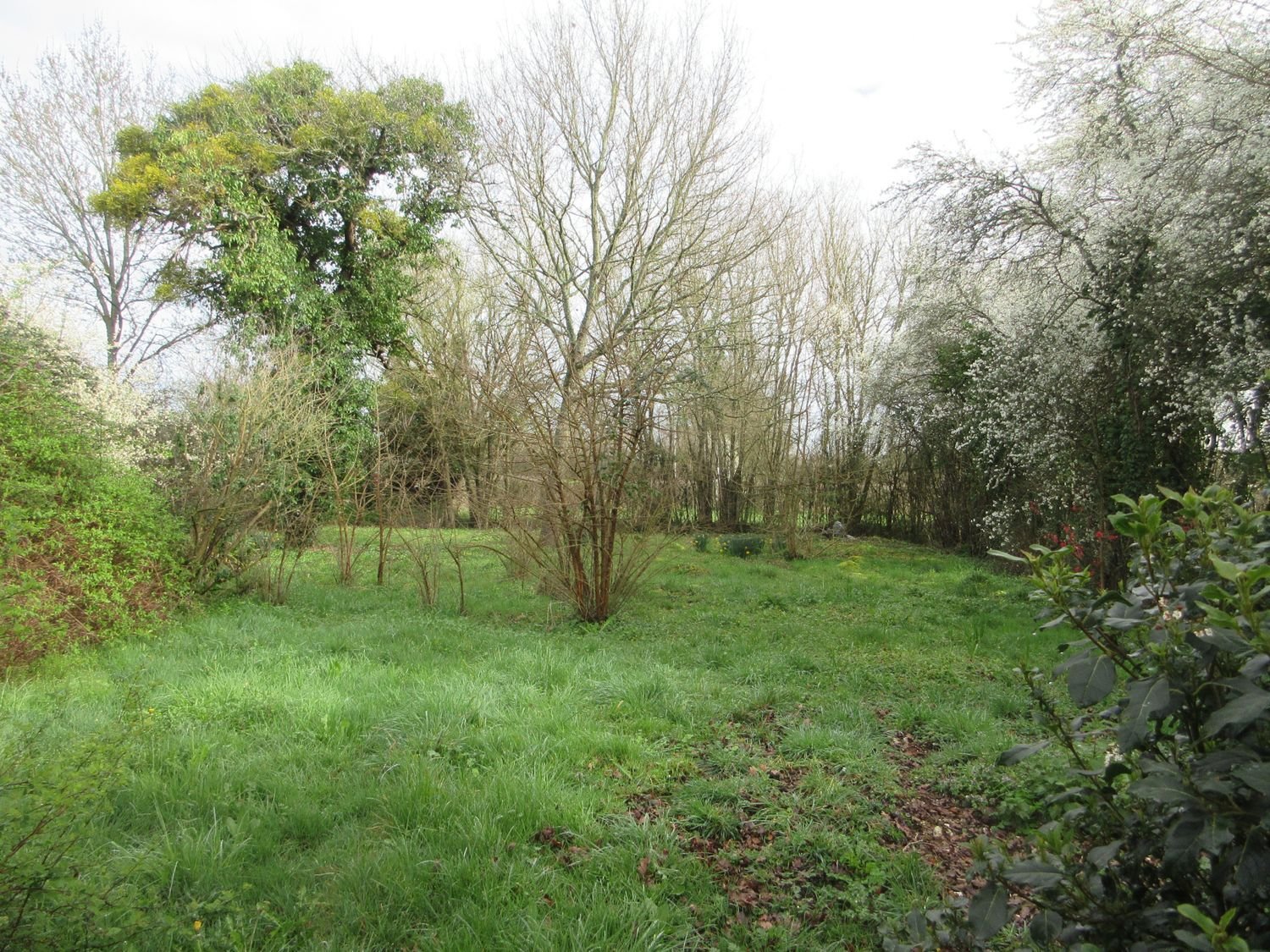 Maison à vendre, 80m², Maillet