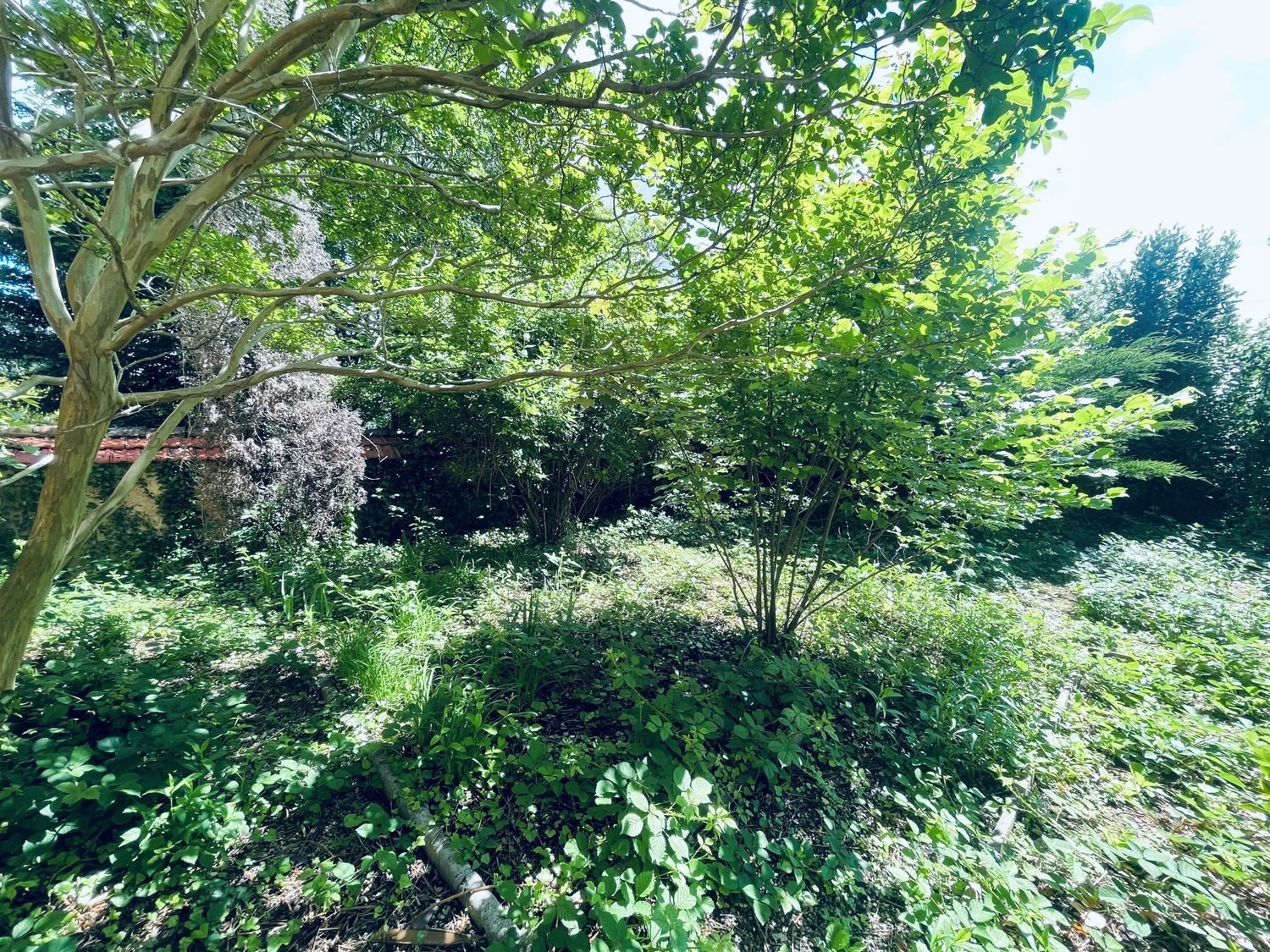 Maison à vendre, 150m², Tassin-la-Demi-Lune