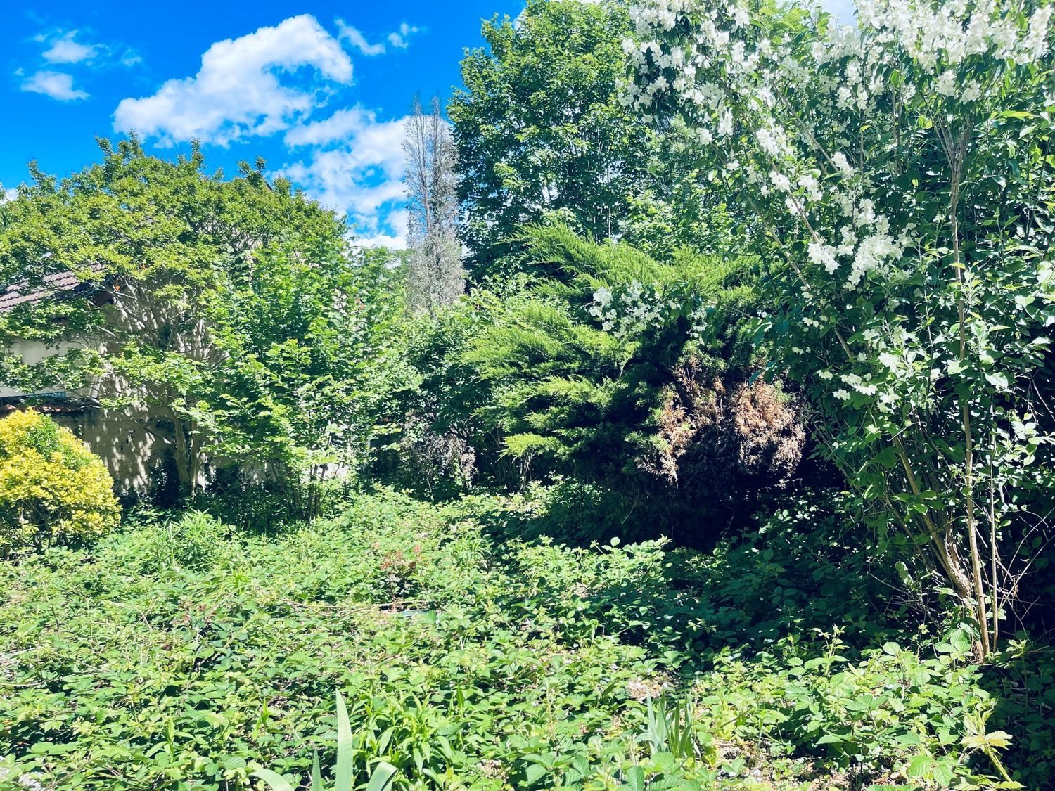 Maison à vendre, 150m², Tassin-la-Demi-Lune