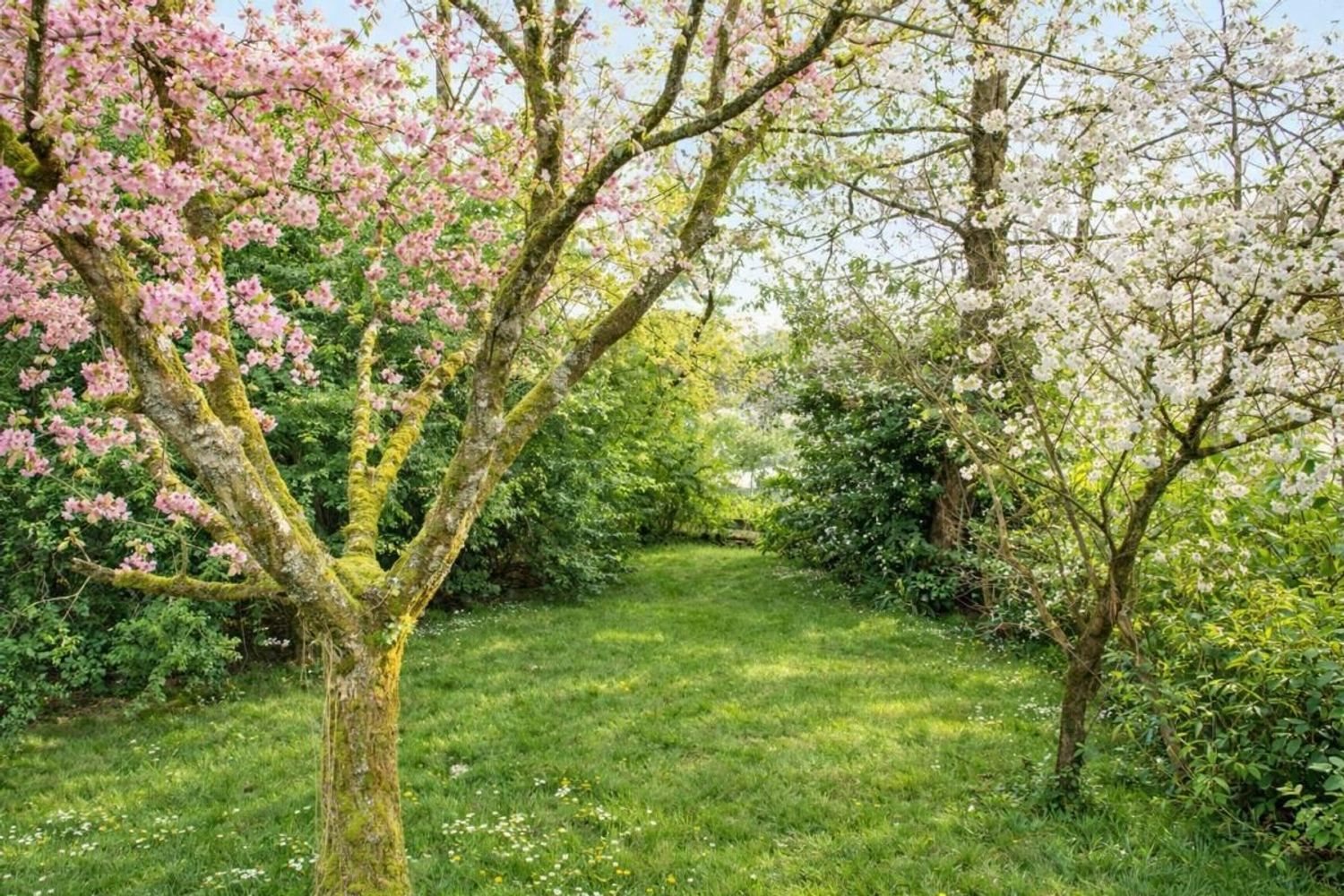 Maison à vendre, 209m², Saran
