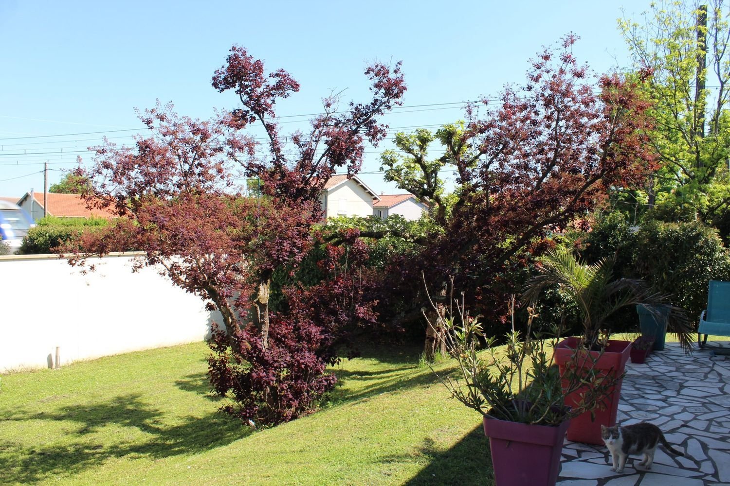 Maison à vendre, 90m², Miribel