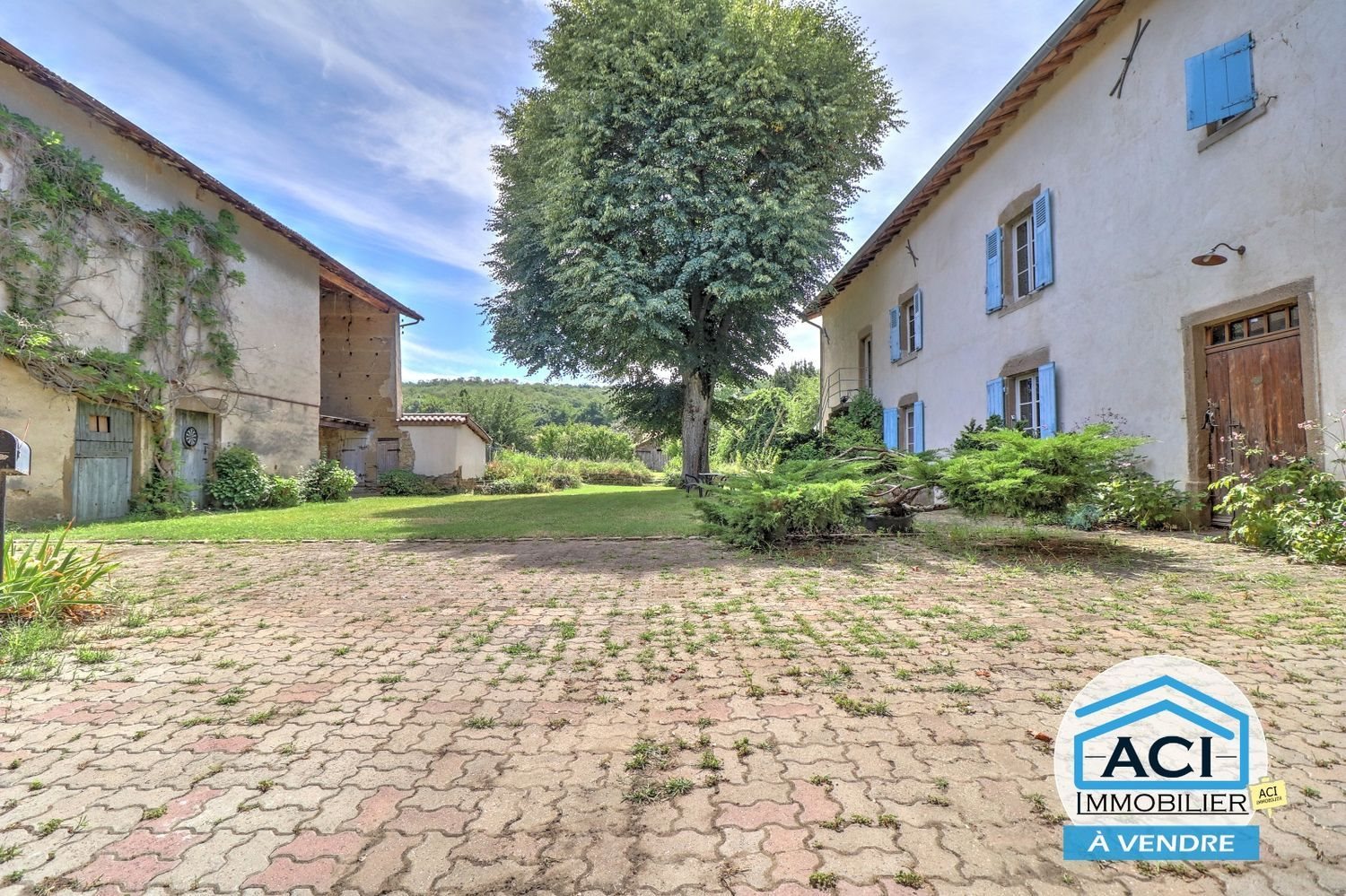 Maison à vendre, 350m², Luzinay