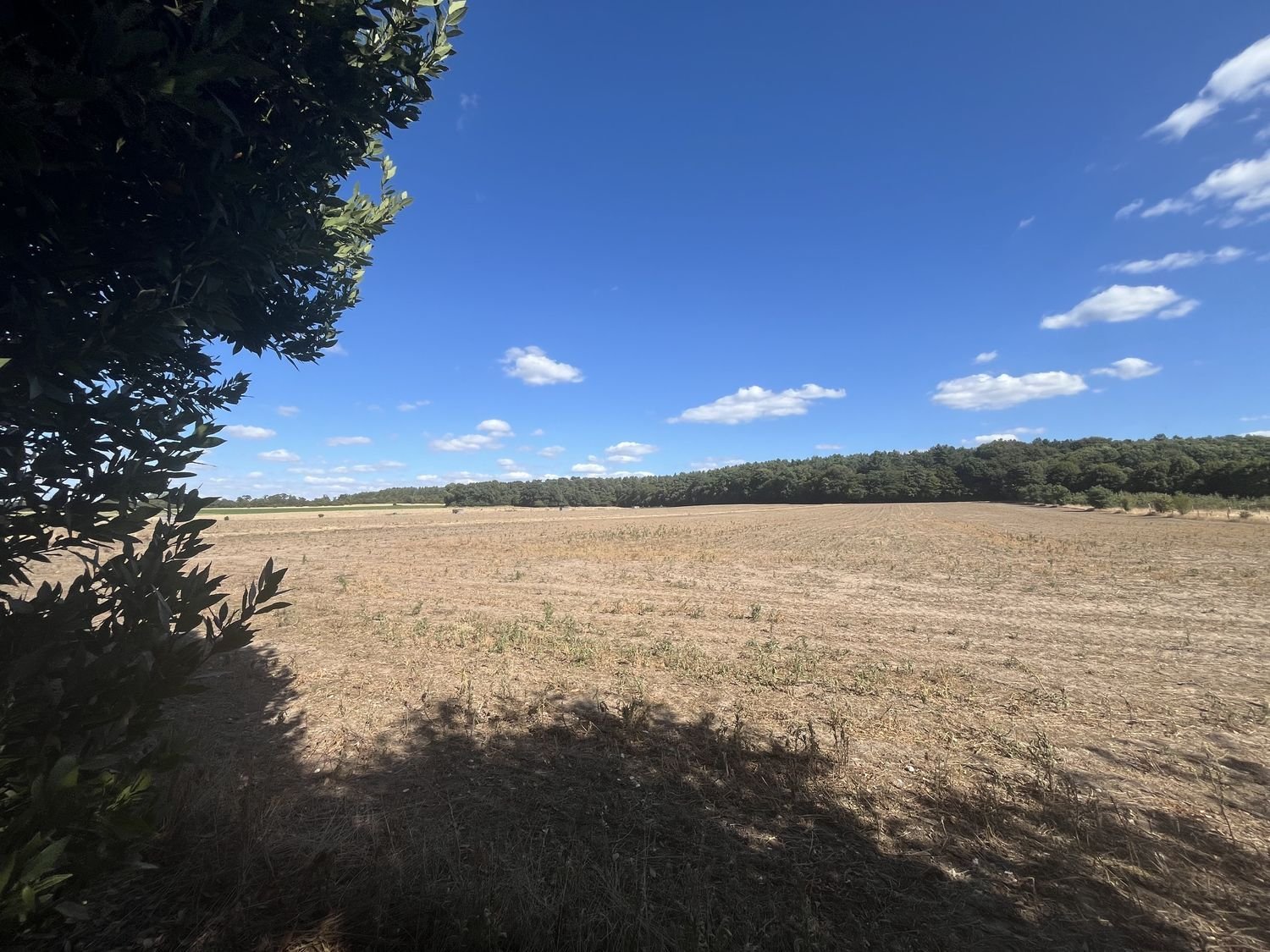 Maison à vendre, 88m², Vatteville-la-Rue