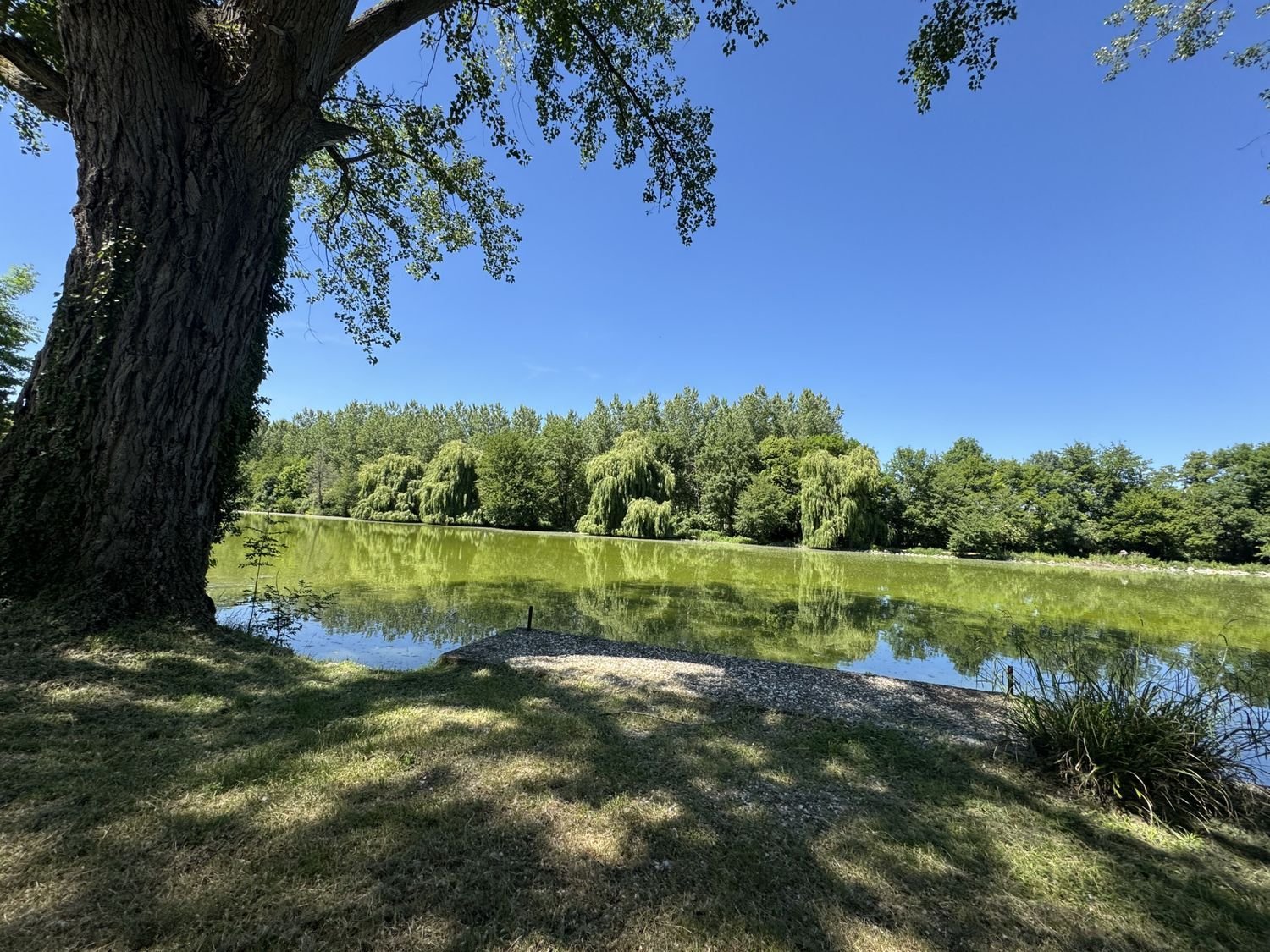 Maison à vendre, 510m², Hauterives