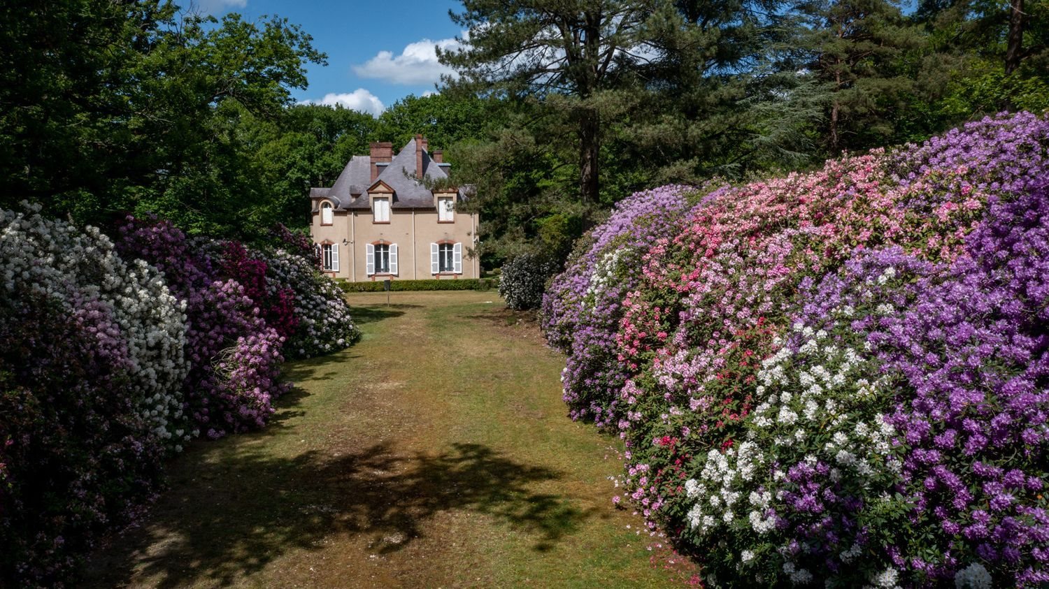 Maison à vendre, 500m², Les Mesnuls