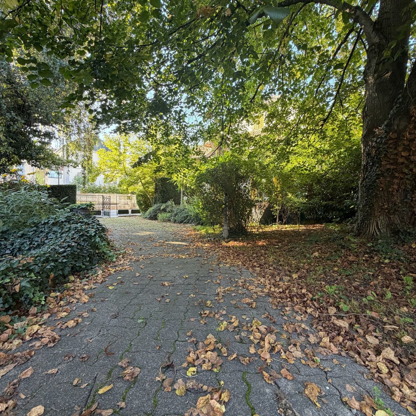 Maison à vendre, 300m², Morschwiller-le-Bas