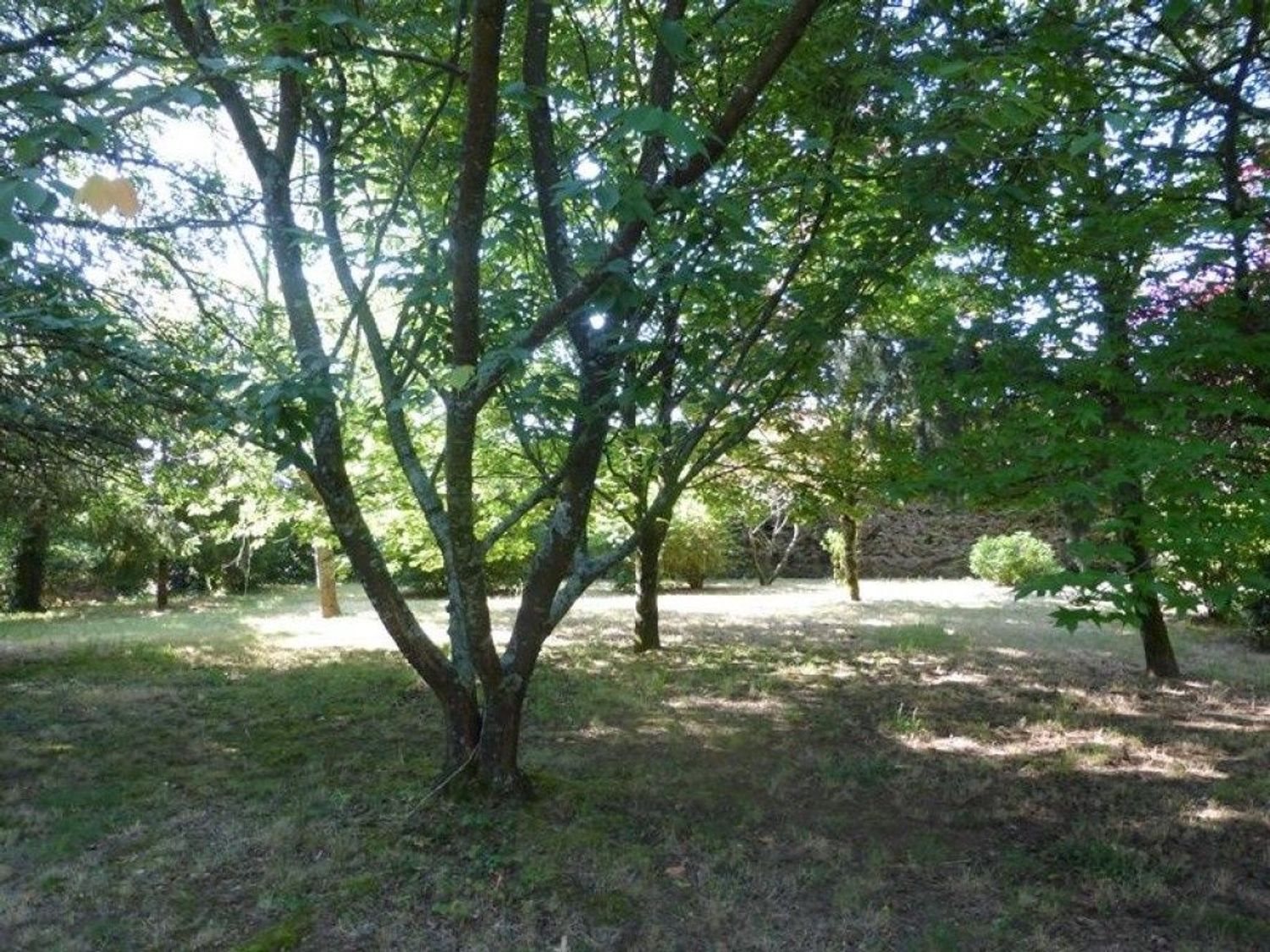 Maison à vendre, 121m², Legé