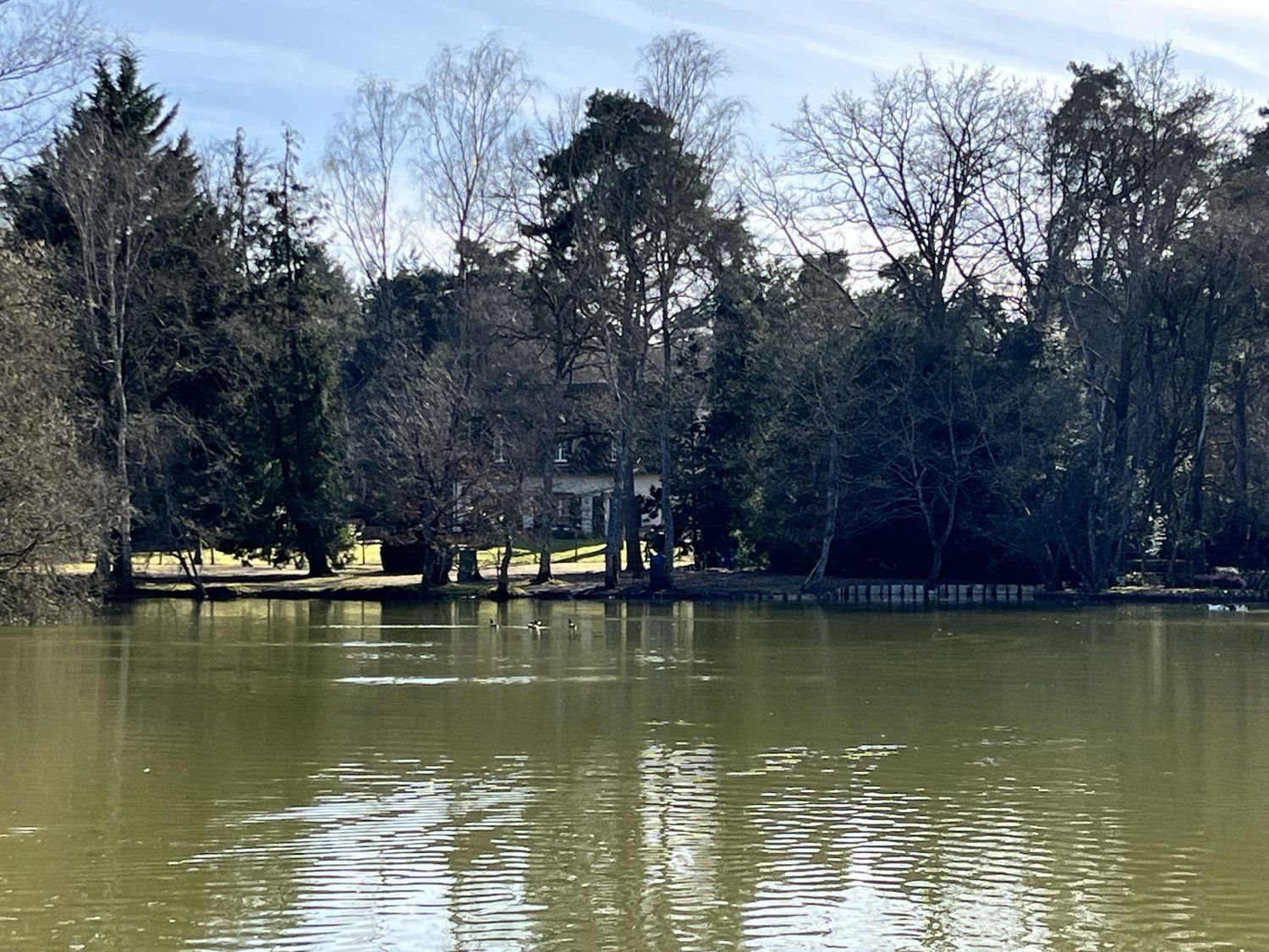 Maison à vendre, 150m², Sury-aux-Bois