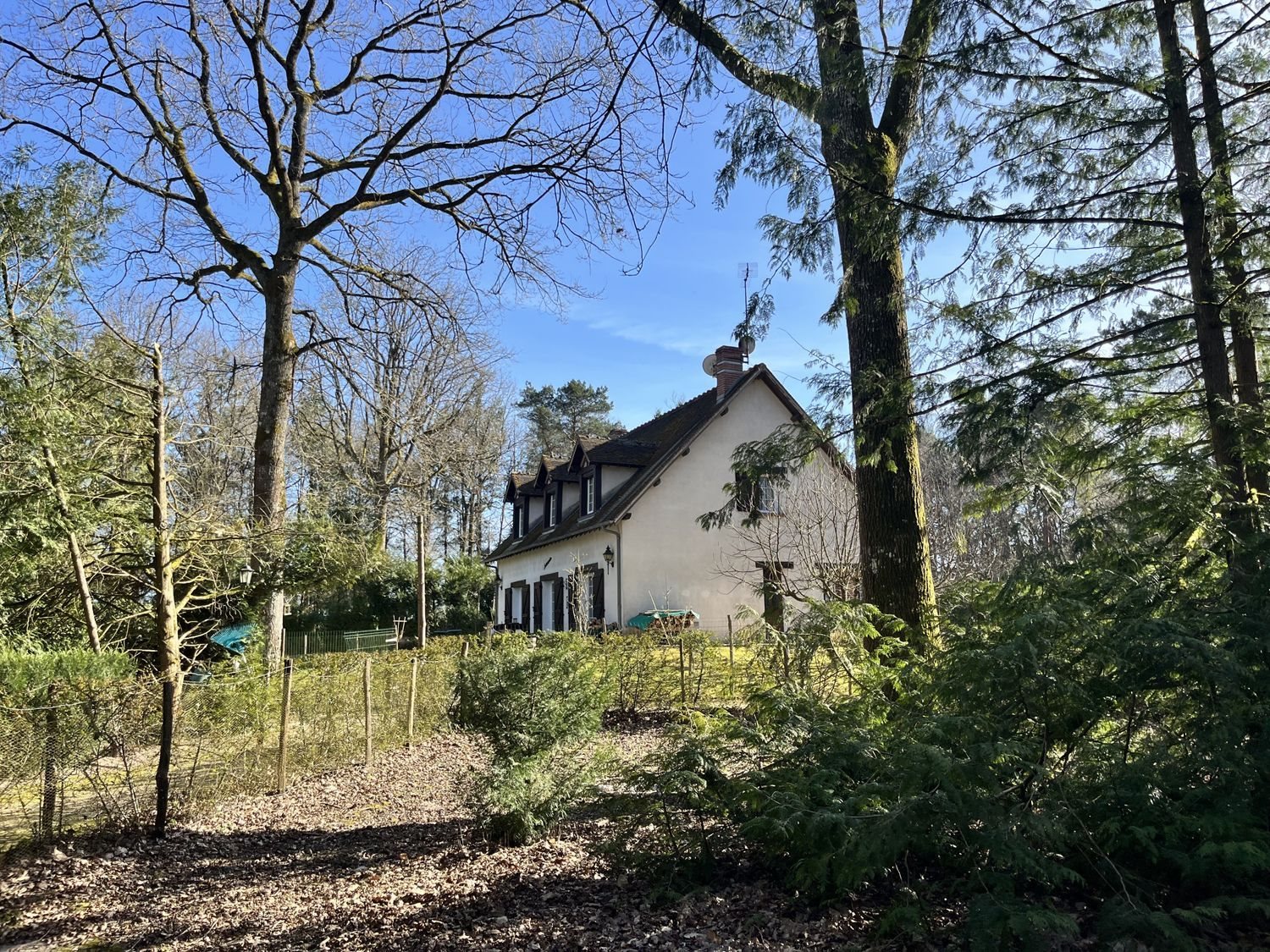 Maison à vendre, 150m², Sury-aux-Bois