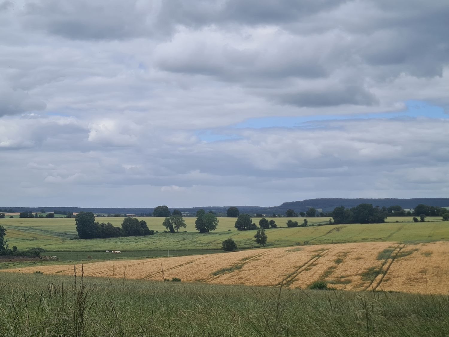 Maison à vendre, 150m², Montigny-aux-Amognes