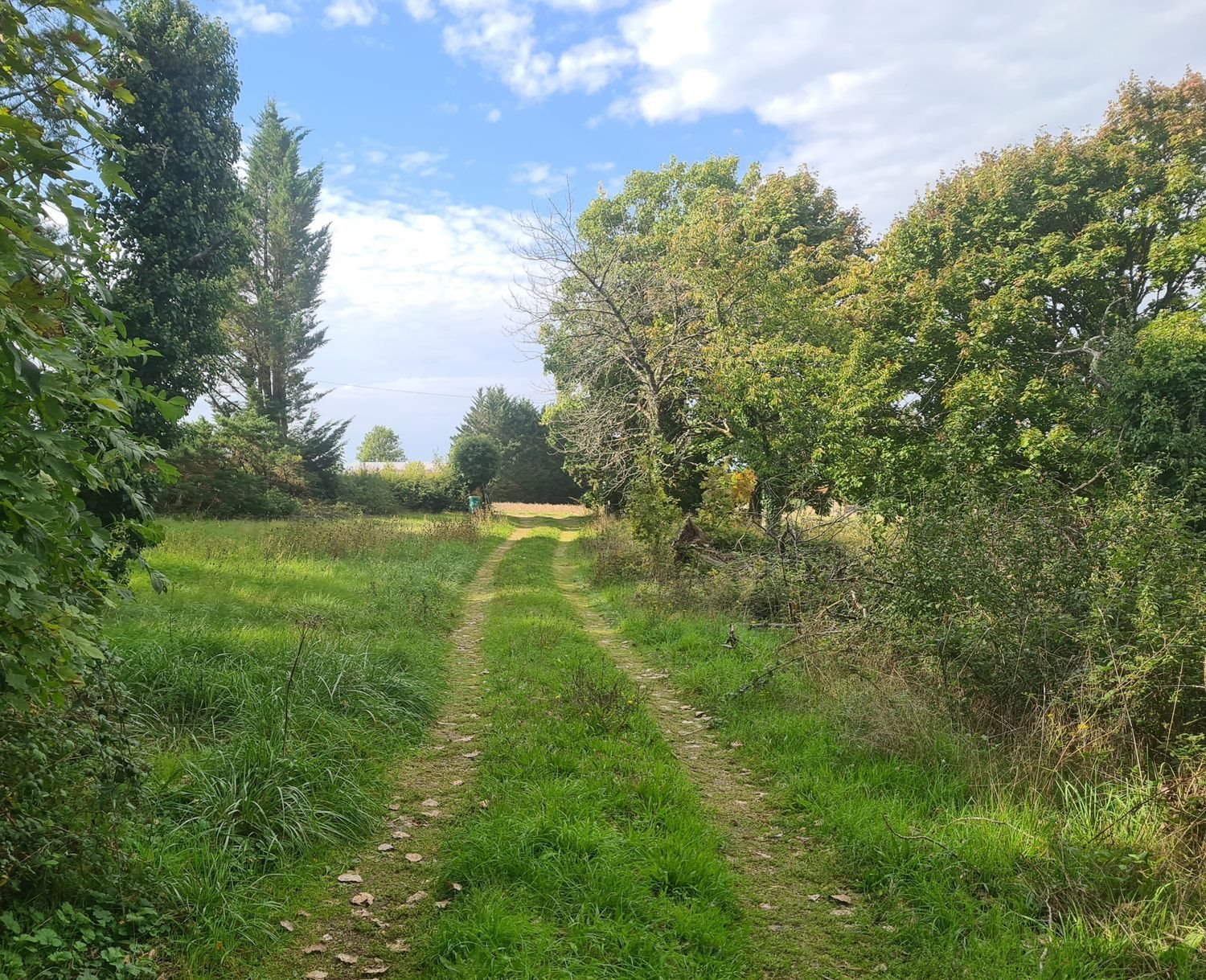 Maison à vendre, 150m², Montigny-aux-Amognes