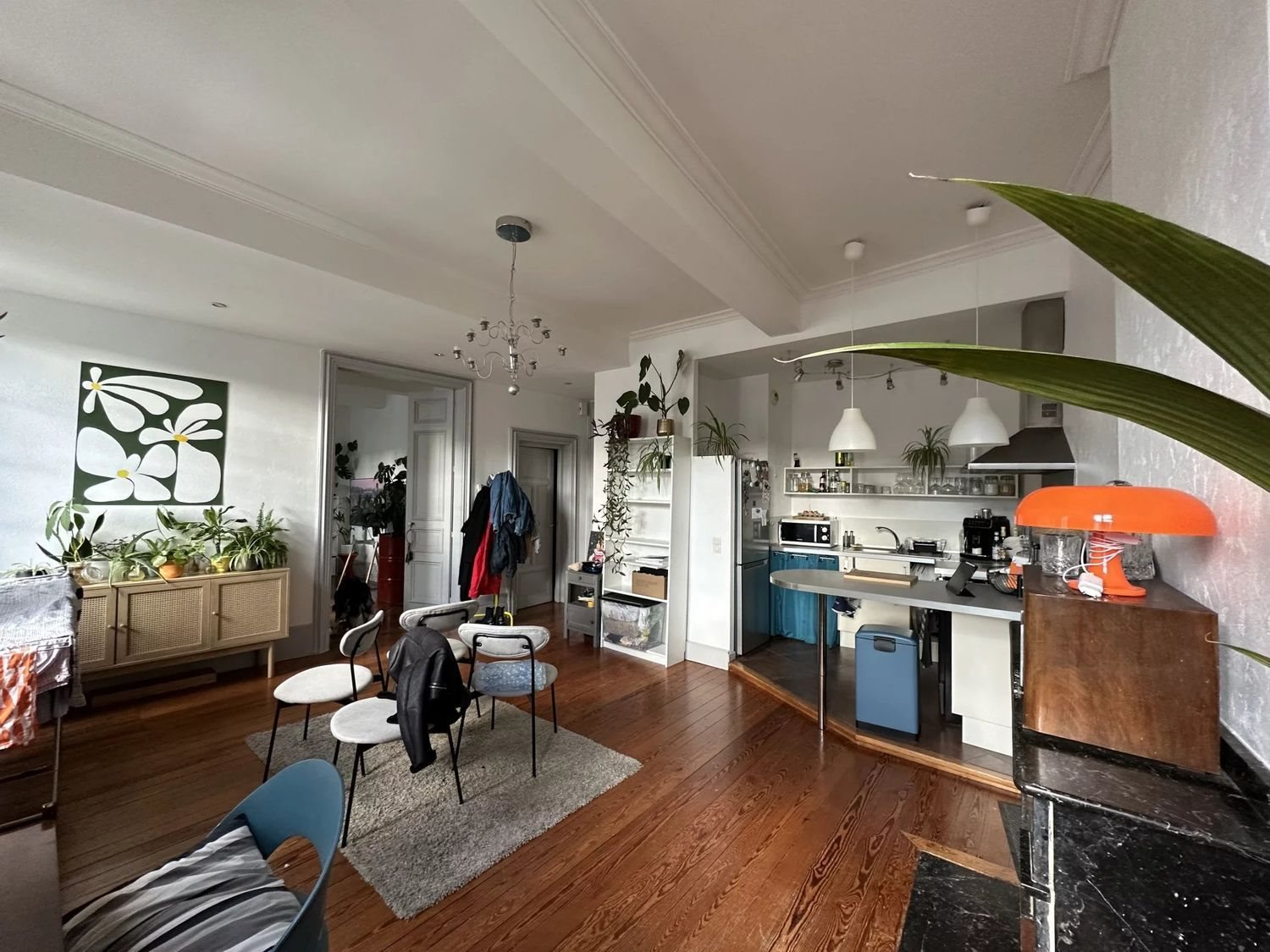 Appartement à louer, 72m², Castres