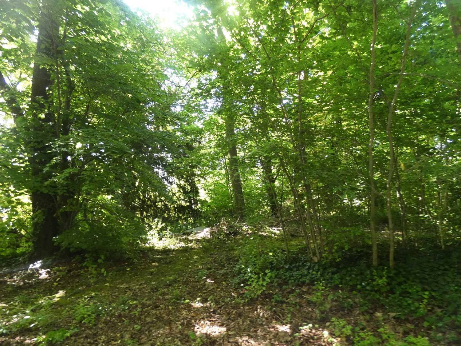 Maison à vendre, 373m², Pontoise