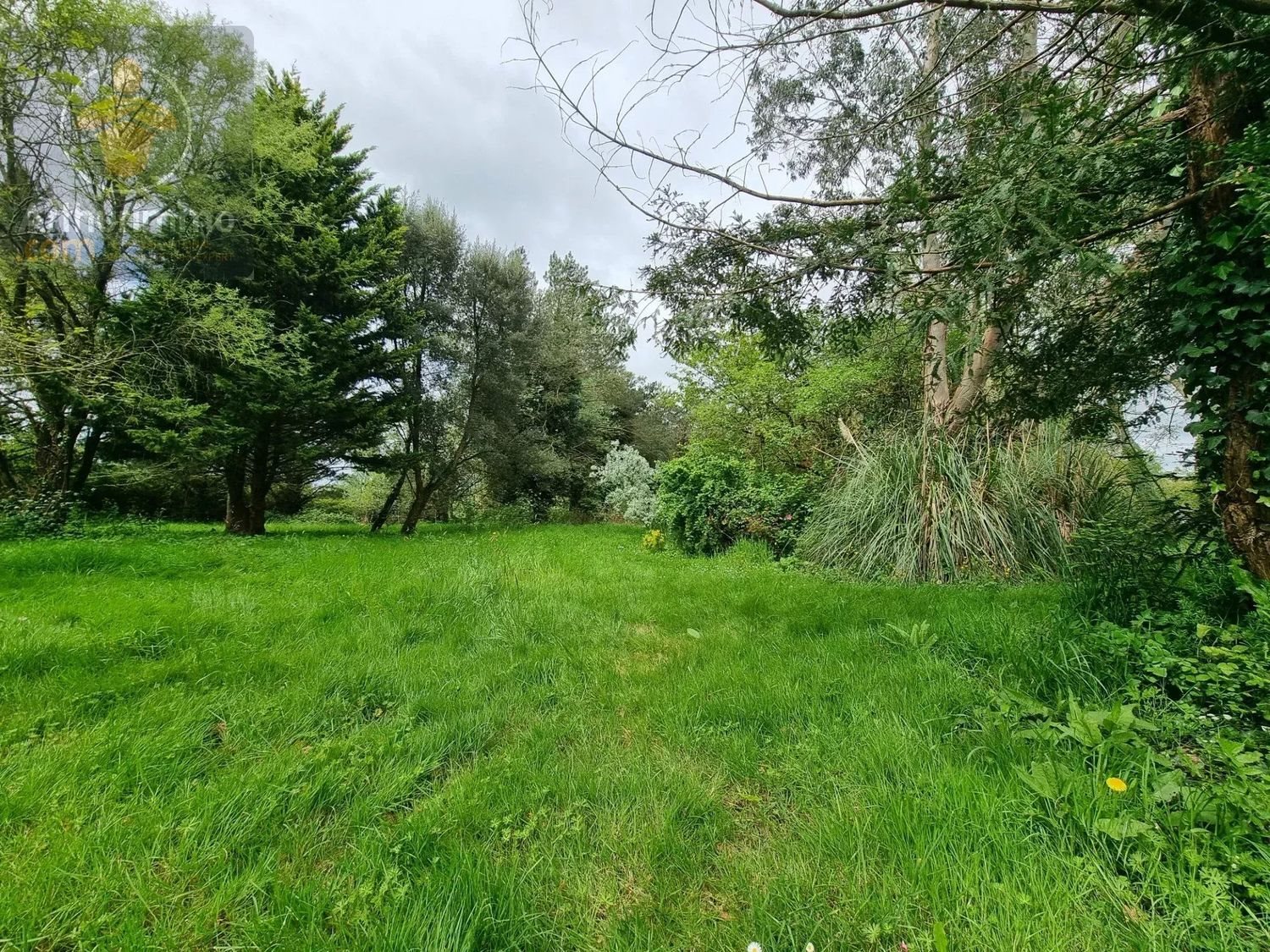 Maison à vendre, 197m², Bois-de-Céné