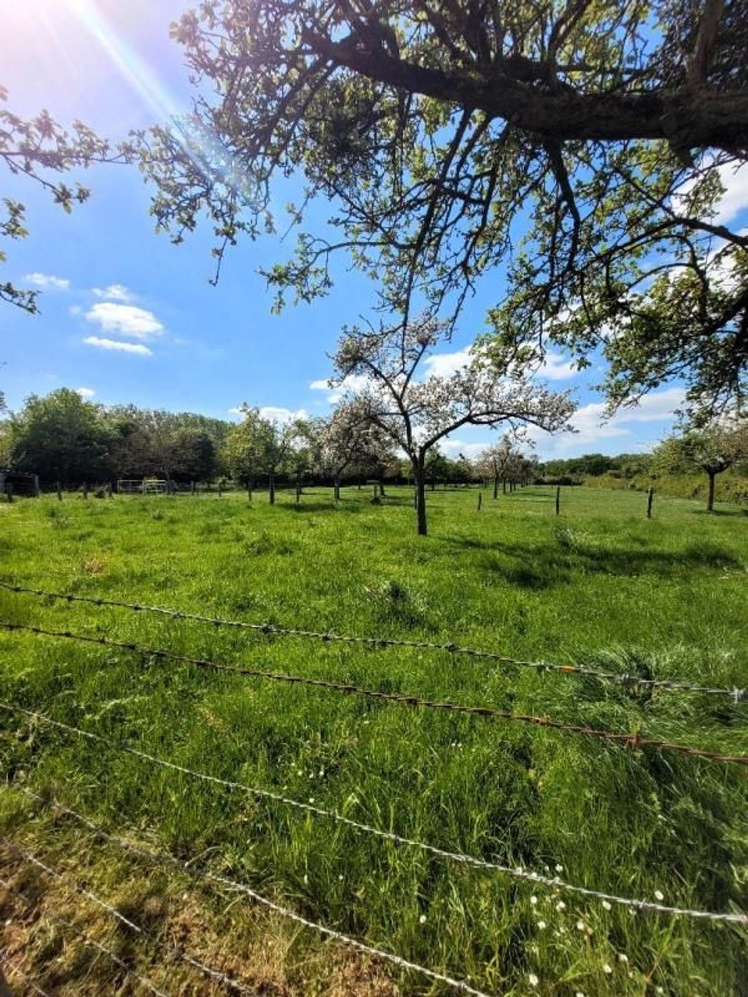 Maison à vendre, 160m², Argences