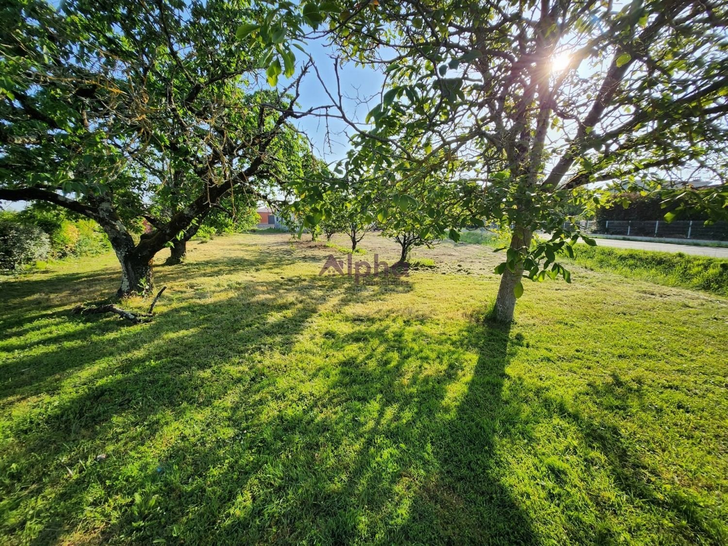 Maison à vendre, 90m², Montbeton