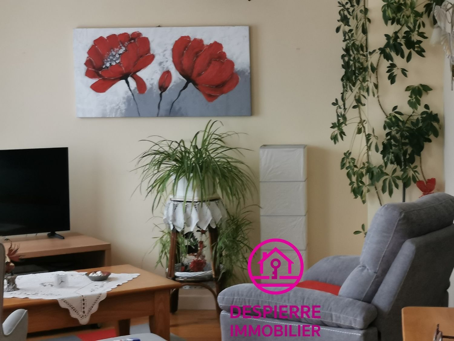 Appartement à vendre, 100m², Roussillon