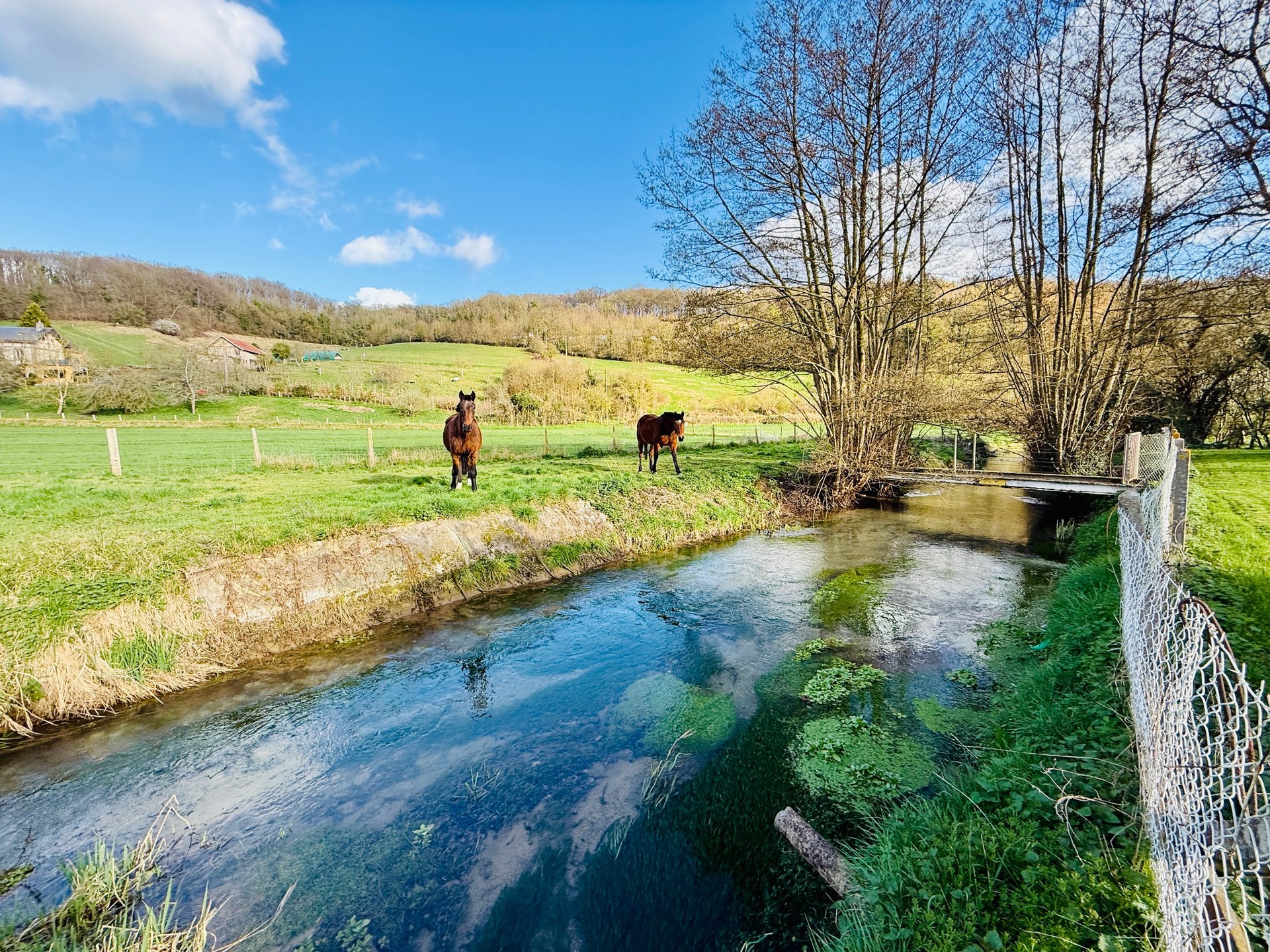 Maison à vendre, 154m², Saint-Martin-du-Vivier