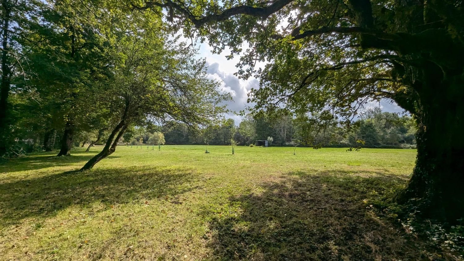 Maison à vendre, 154m², Argent-sur-Sauldre