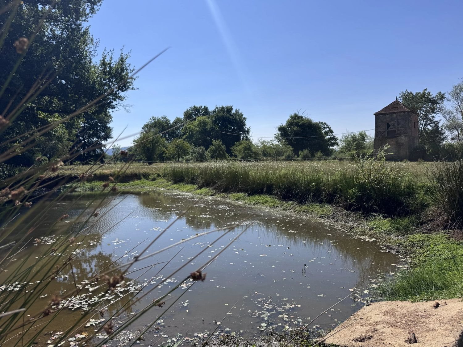 Maison à vendre, 100m², Louhans